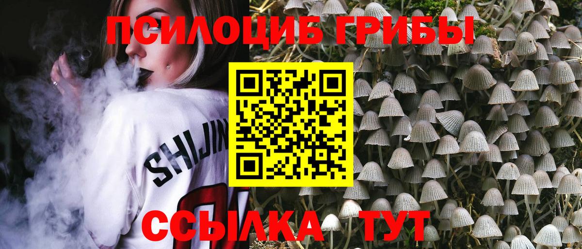 Псилоцибиновые грибы Psilocybine cubensis  Вход с VPN  магазин продажи наркотиков  Гусев 