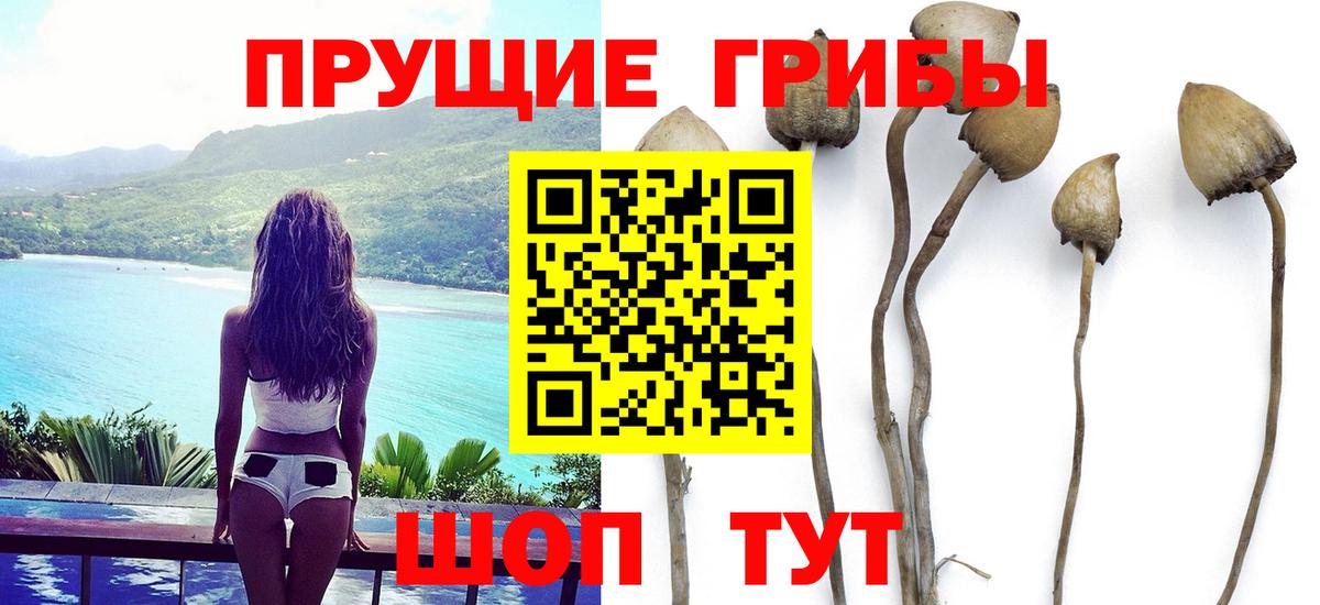 Галлюциногенные грибы Magic Shrooms Гусев